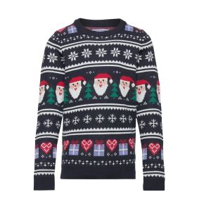 Pull de noel homme