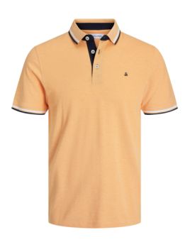 Polo homme